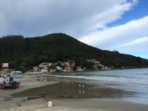 IMG_4946