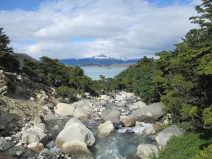 IMG_1719