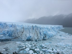 IMG_6517