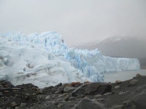 IMG_1487