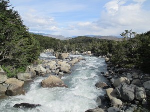 IMG_1695