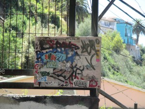 IMG_1231