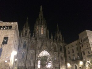 IMG_7550