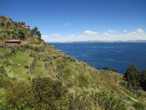 IMG_0360