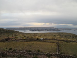 IMG_0314