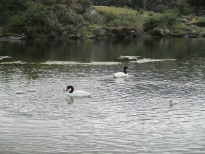 IMG_1794