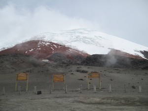 IMG_0290