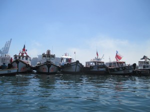 IMG_1194
