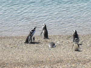 IMG_1375