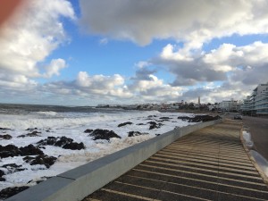 IMG_4848