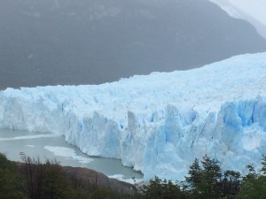 IMG_6496