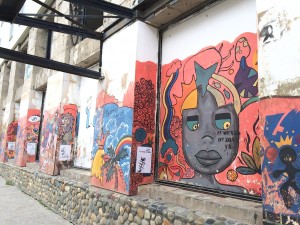 IMG_6915