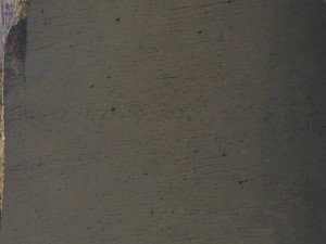 IMG_4449