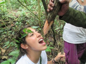 IMG_0552