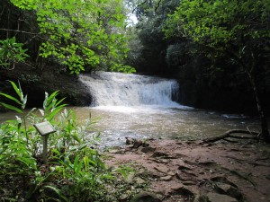IMG_0733
