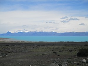 IMG_1558