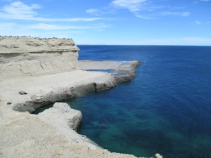IMG_1403
