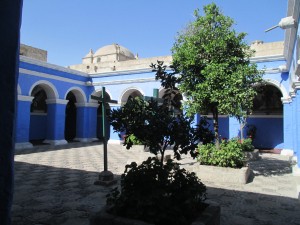 IMG_0174