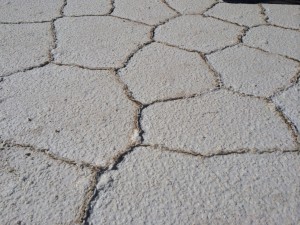 IMG_4476