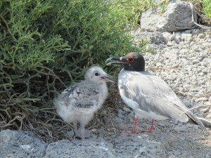 IMG_0475