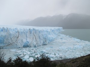 IMG_1553
