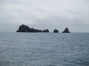 IMG_0647