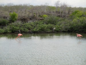 IMG_0441