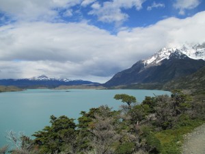 IMG_1726