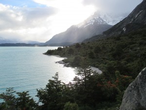 IMG_1715