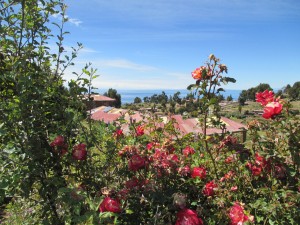 IMG_0347