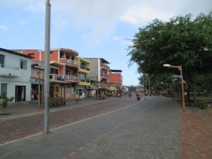 IMG_0731