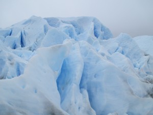 IMG_1499