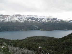 IMG_1335