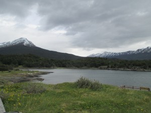 IMG_1780