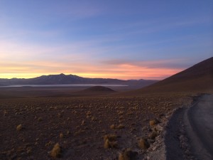 IMG_4607