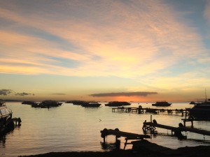 IMG_4058