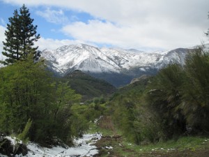 IMG_1314