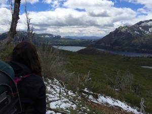 IMG_6358