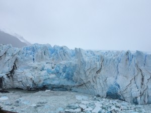 IMG_6529
