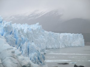 IMG_1523