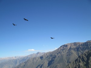 IMG_0208