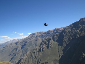 IMG_0214