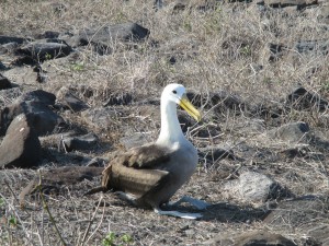 IMG_0577