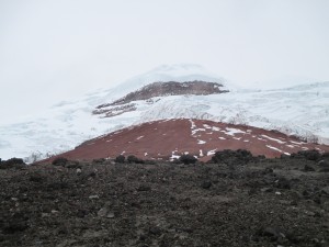 IMG_0241