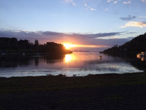 IMG_6255
