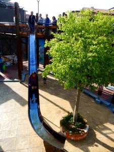 DSCN0552