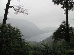 IMG_1285