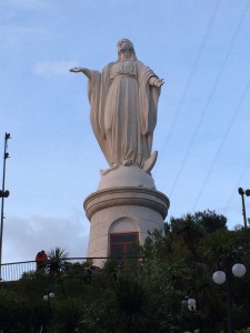 IMG_6117