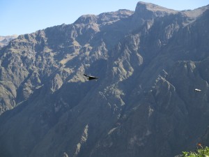 IMG_0204