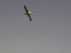 IMG-20140412-02218